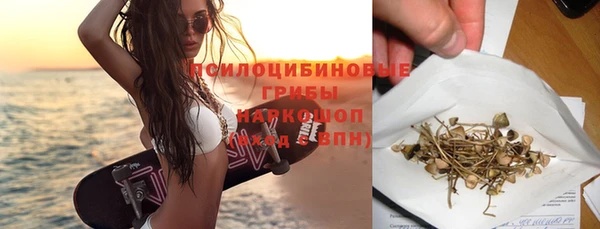 ГАЛЛЮЦИНОГЕННЫЕ ГРИБЫ Баксан