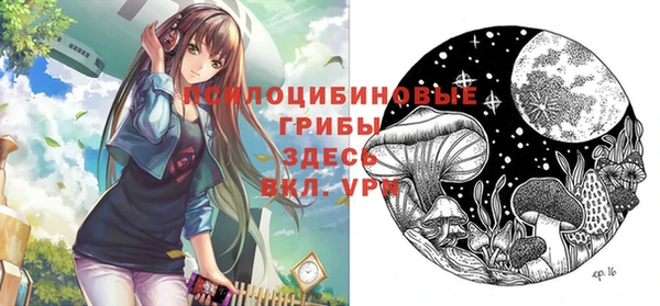 ГАЛЛЮЦИНОГЕННЫЕ ГРИБЫ Баксан