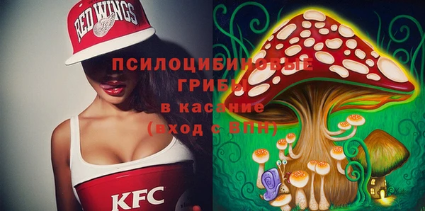ГАЛЛЮЦИНОГЕННЫЕ ГРИБЫ Баксан
