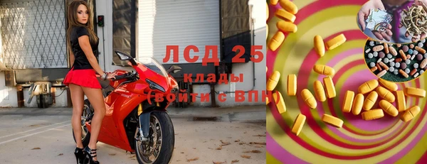 ГАЛЛЮЦИНОГЕННЫЕ ГРИБЫ Баксан