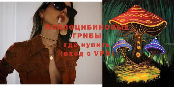 ГАЛЛЮЦИНОГЕННЫЕ ГРИБЫ Баксан